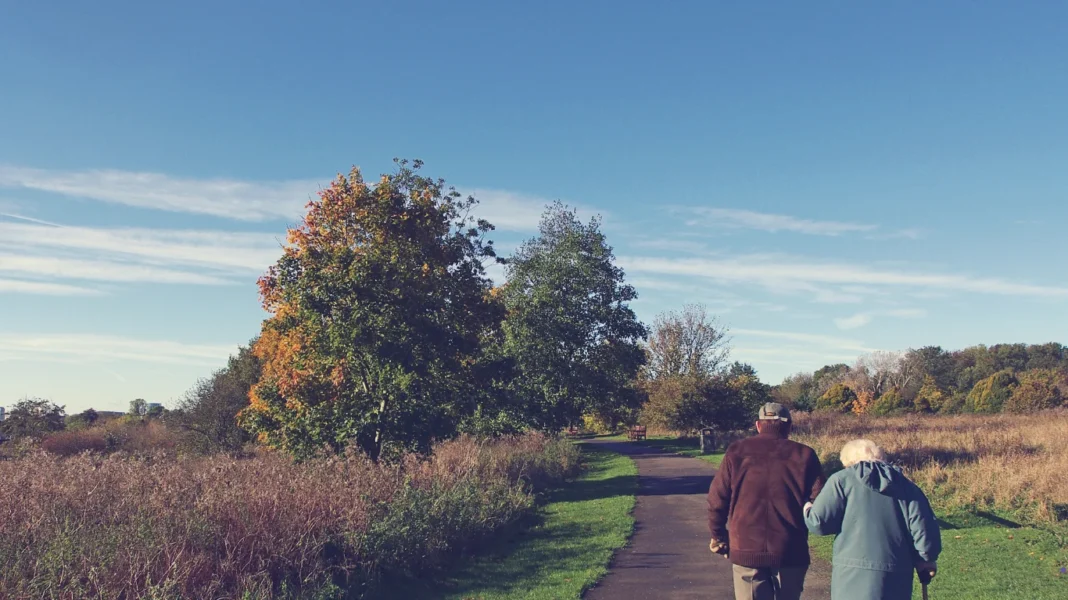 activities for seniors