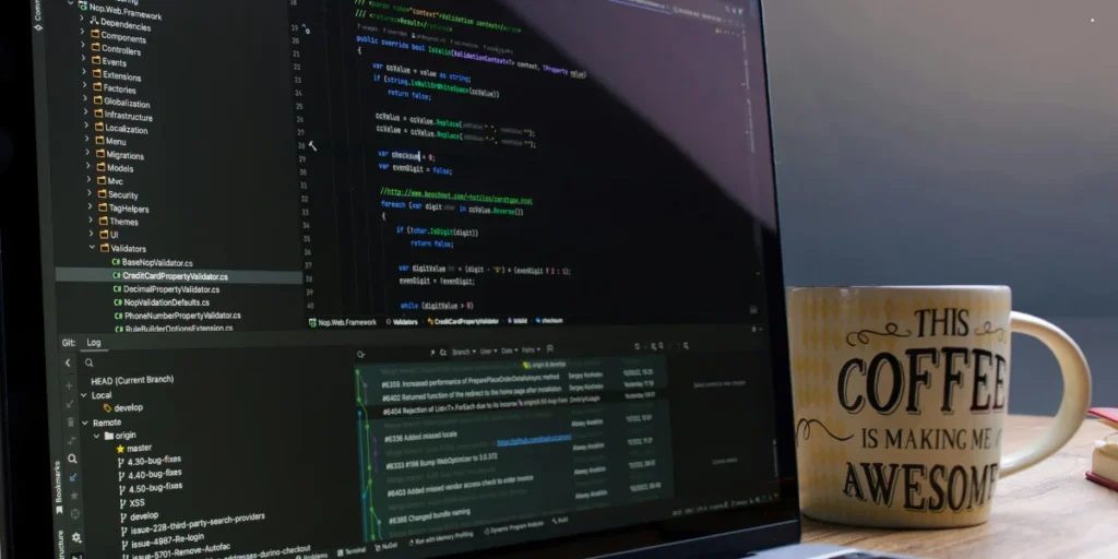 software development